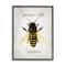 Stupell Industries Spread a Little Sunshine Phrase Country Bumble Bee Framed Wall Art